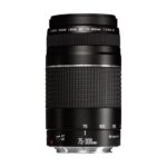 Canon EF 75-300mm f/4-5.6 III Telephoto Zoom Lens for Canon SLR Cameras